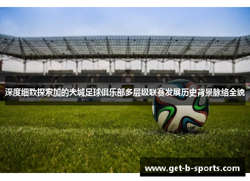 深度细致探索加的夫城足球俱乐部多层级联赛发展历史背景脉络全貌